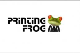 Printing frog icône Lien